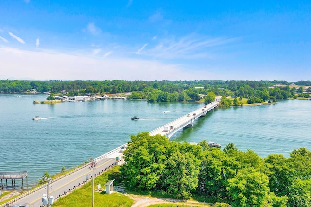 100 Bridgewater Pointe Pl Unit 401, Moneta, VA 24121 - water view featuring a notable bridge