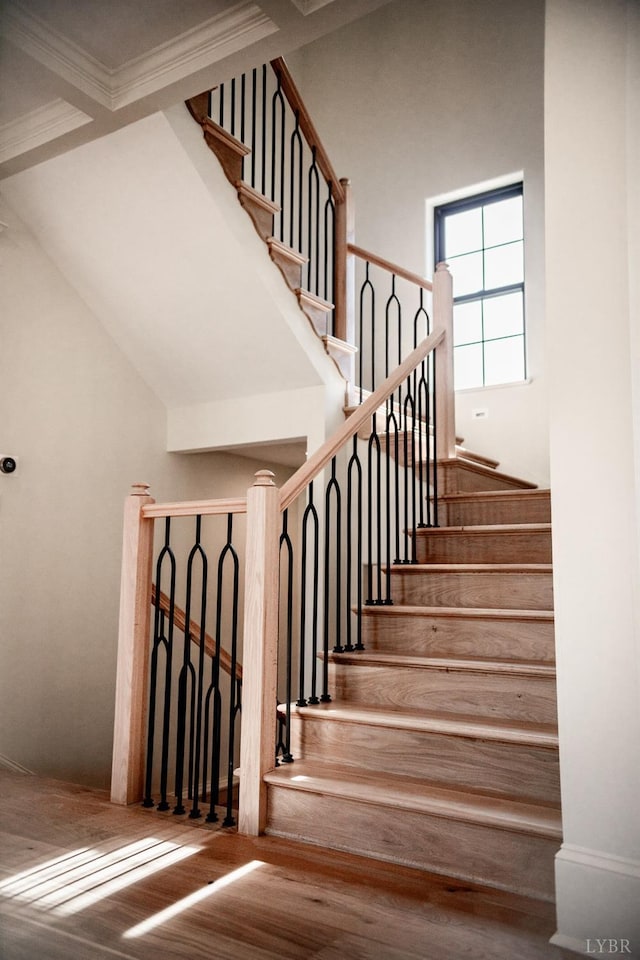 1002 Boone Hill Dr, Lynchburg, VA 24503 - photo 47