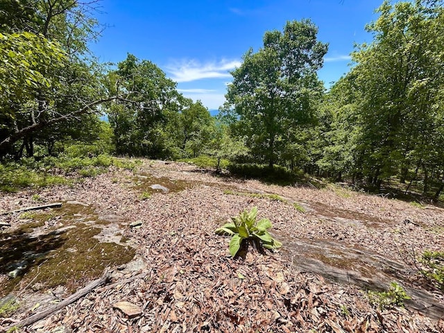 0 Jeters Chapel Rd, Vinton, VA 24179