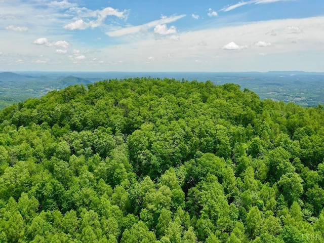 0 Jeters Chapel Rd, Vinton, VA 24179