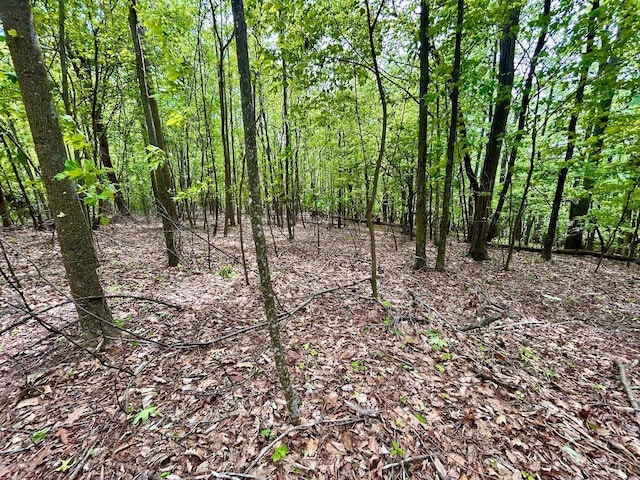 0 Jeters Chapel Rd, Vinton, VA 24179