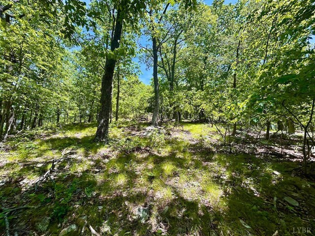 0 Jeters Chapel Rd, Vinton, VA 24179