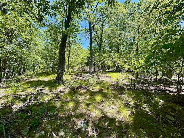 0 Jeters Chapel Rd, Vinton, VA 24179
