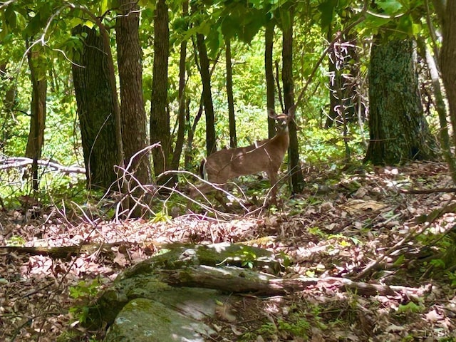 0 Jeters Chapel Rd, Vinton, VA 24179
