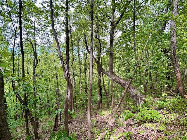 0 Jeters Chapel Rd, Vinton, VA 24179