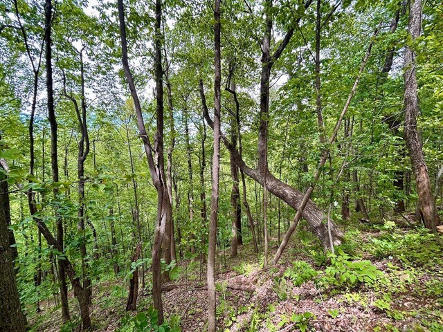0 Jeters Chapel Rd, Vinton, VA 24179