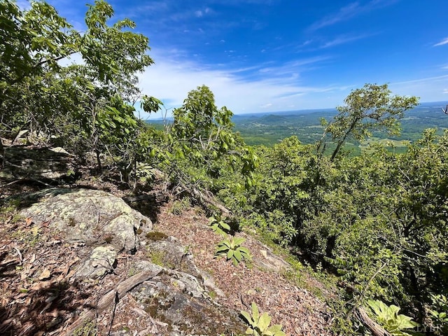 0 Jeters Chapel Rd, Vinton, VA 24179