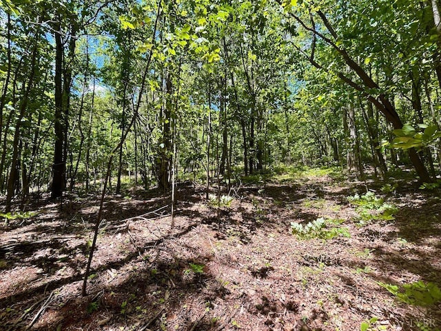 0 Jeters Chapel Rd, Vinton, VA 24179