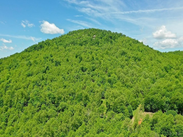 0 Jeters Chapel Rd, Vinton, VA 24179