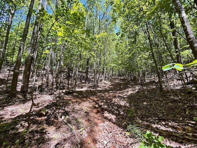 0 Jeters Chapel Rd, Vinton, VA 24179