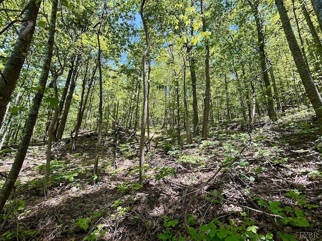 0 Jeters Chapel Rd, Vinton, VA 24179