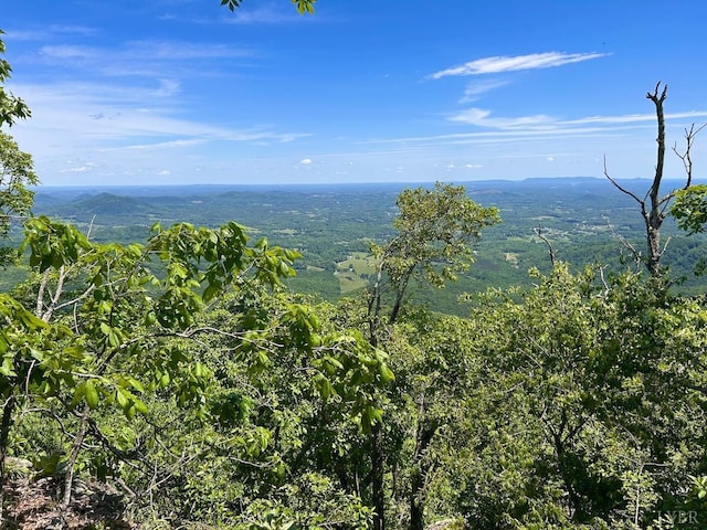 0 Jeters Chapel Rd, Vinton, VA 24179