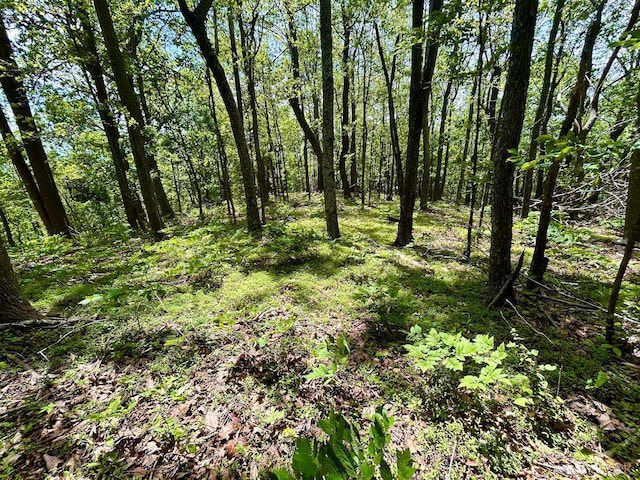 0 Jeters Chapel Rd, Vinton, VA 24179