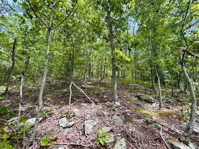 0 Jeters Chapel Rd, Vinton, VA 24179