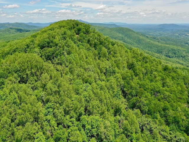 0 Jeters Chapel Rd, Vinton, VA 24179