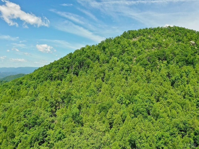 0 Jeters Chapel Rd, Vinton, VA 24179