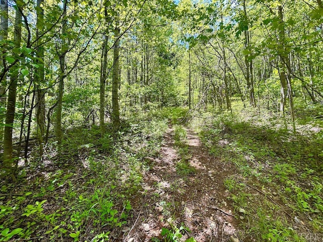 0 Jeters Chapel Rd, Vinton, VA 24179