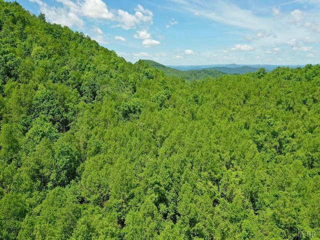 0 Jeters Chapel Rd, Vinton, VA 24179