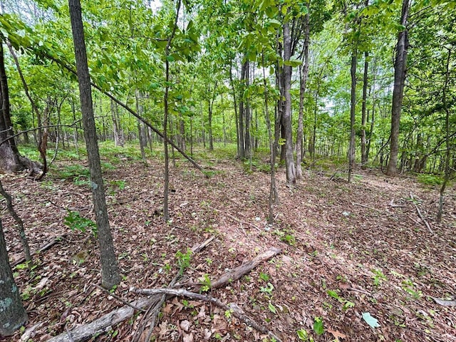 0 Jeters Chapel Rd, Vinton, VA 24179