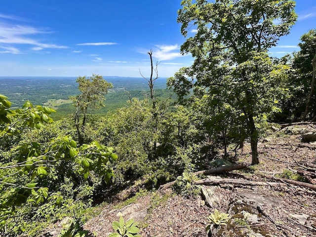 0 Jeters Chapel Rd, Vinton, VA 24179