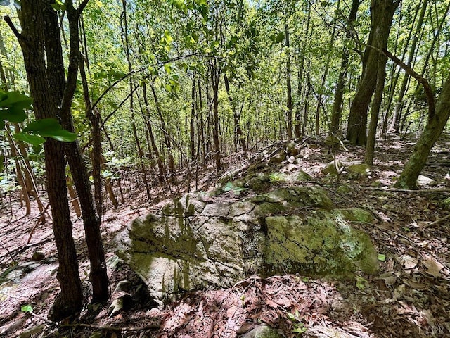 0 Jeters Chapel Rd, Vinton, VA 24179