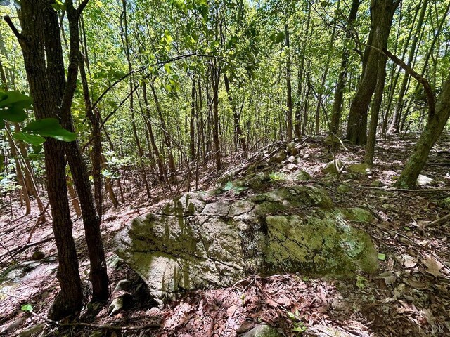 0 Jeters Chapel Rd, Vinton, VA 24179