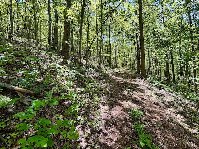 0 Jeters Chapel Rd, Vinton, VA 24179