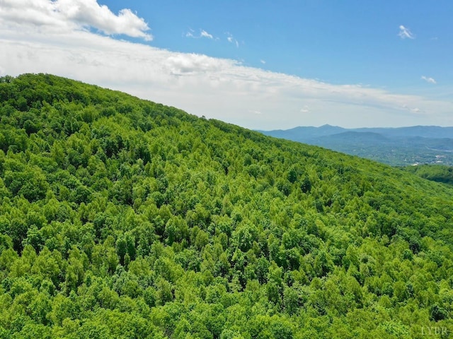 0 Jeters Chapel Rd, Vinton, VA 24179