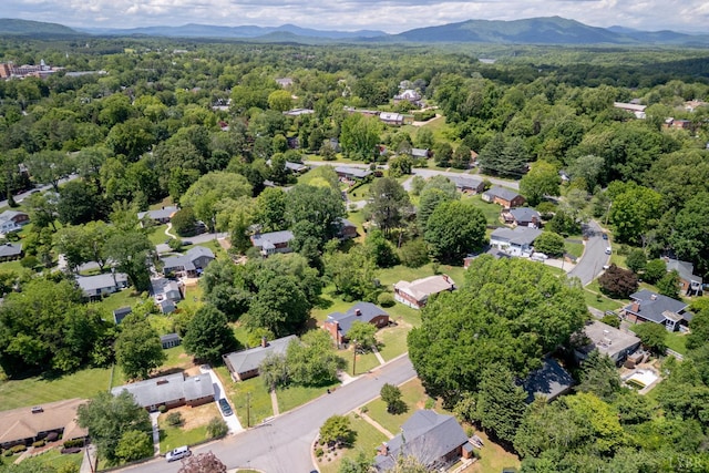 1261 Krise Cir, Lynchburg, VA 24503 - view of property location featuring a forest and a mountain backdrop