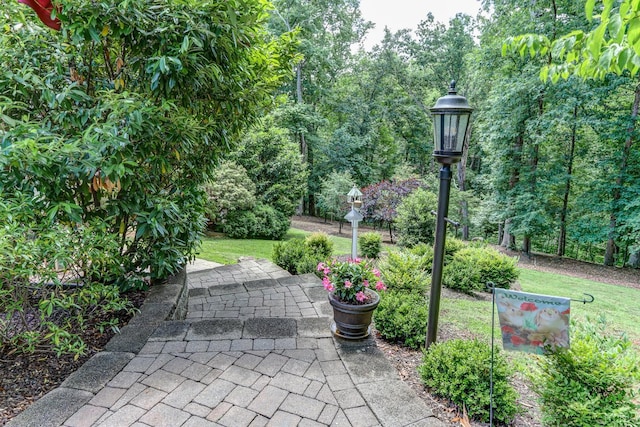 1146 Audubon Dr, Lynchburg, VA 24503 - view of patio / terrace