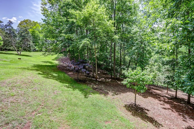 1146 Audubon Dr, Lynchburg, VA 24503 - view of green lawn