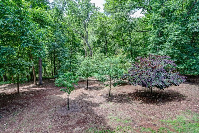 1146 Audubon Dr, Lynchburg, VA 24503 - view of yard
