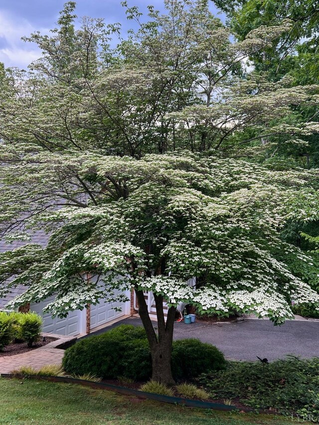 1146 Audubon Dr, Lynchburg, VA 24503 - view of side of property
