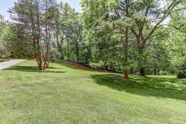 1146 Audubon Dr, Lynchburg, VA 24503 - view of grassy yard