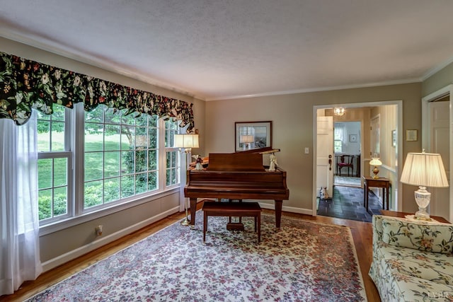 1146 Audubon Dr, Lynchburg, VA 24503 - living area featuring wood finished floors, ornamental molding, baseboards, and a textured ceiling
