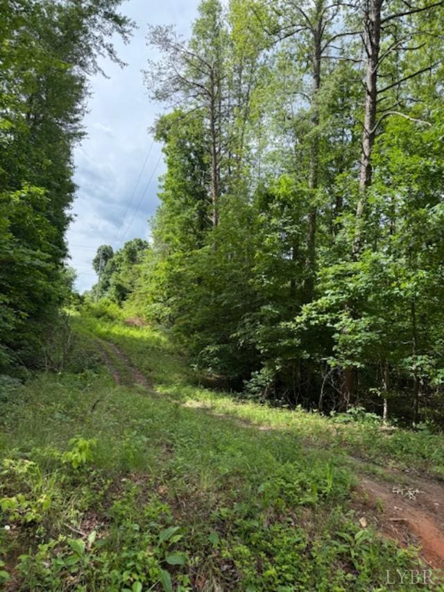 0 E Pamplin Rd, Pamplin, VA 23958