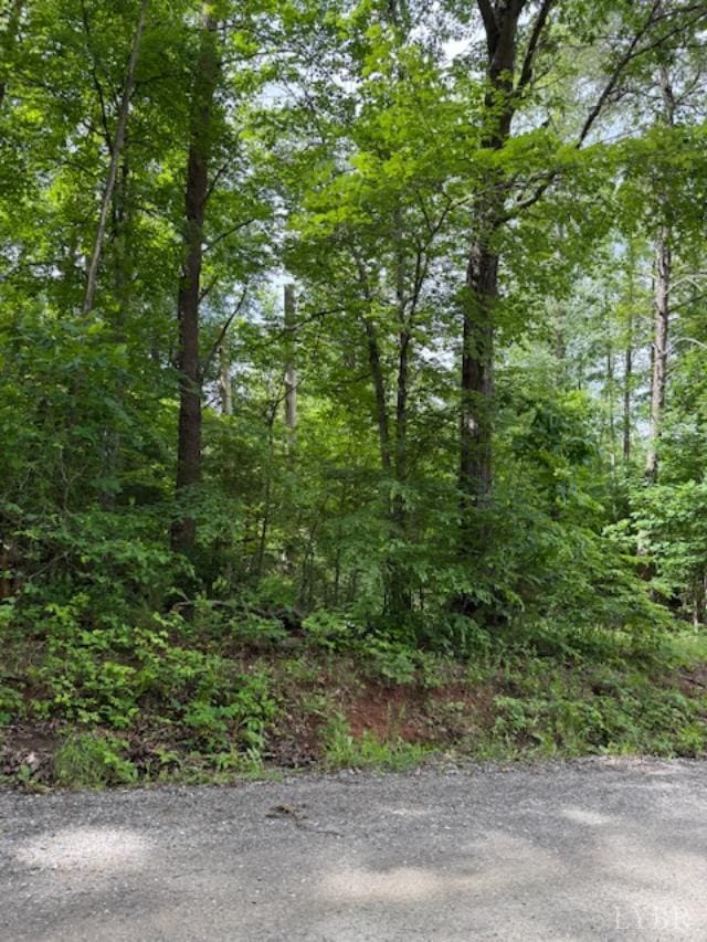 0 E Pamplin Rd, Pamplin, VA 23958
