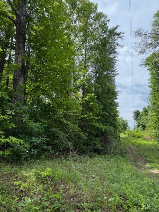 0 E Pamplin Rd, Pamplin, VA 23958