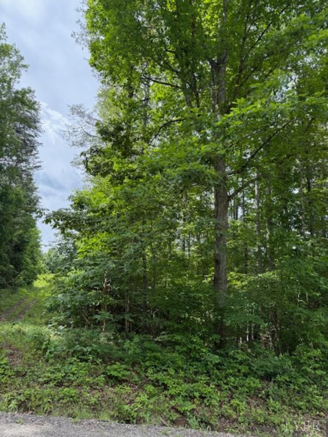 0 E Pamplin Rd, Pamplin, VA 23958