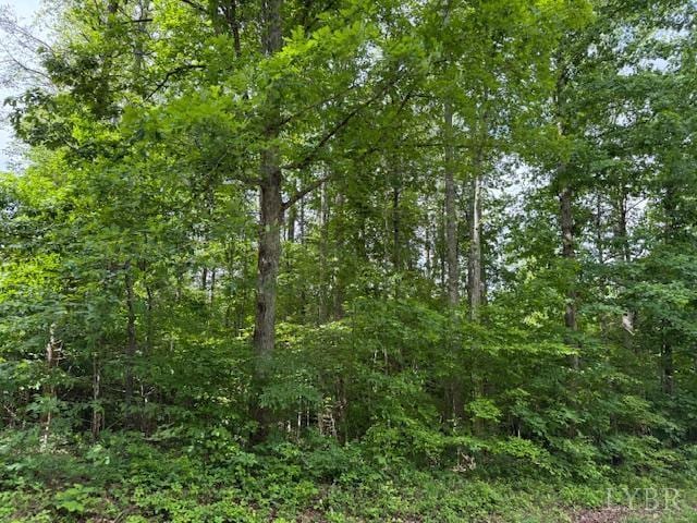 0 E Pamplin Rd, Pamplin, VA 23958