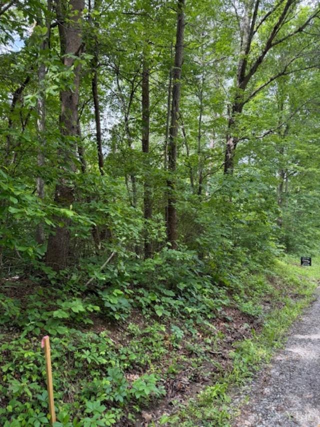 0 E Pamplin Rd, Pamplin, VA 23958