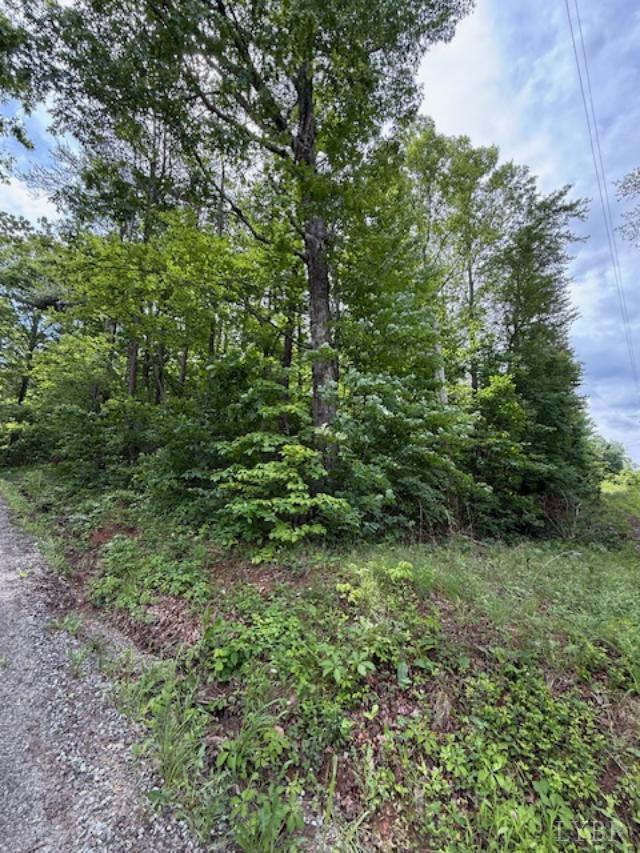 0 E Pamplin Rd, Pamplin, VA 23958 - photo 8