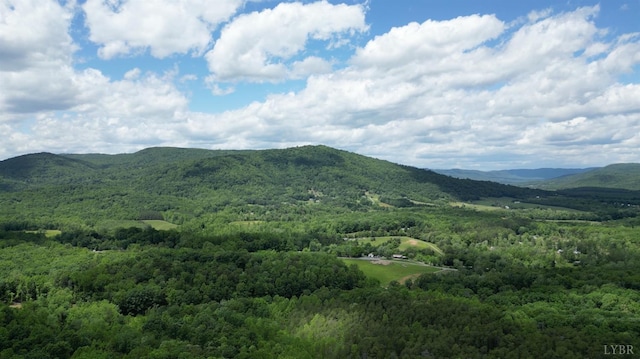 0 Country Ln, Thaxton, VA 24174