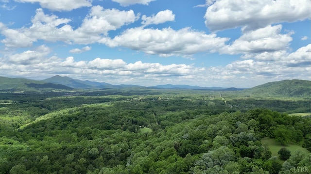 0 Country Ln, Thaxton, VA 24174