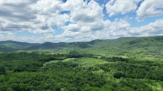 0 Country Ln, Thaxton, VA 24174