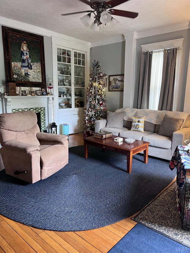 901 Bedford Ave, Altavista, VA 24517 - living room featuring a ceiling fan, crown molding, and wood finished floors