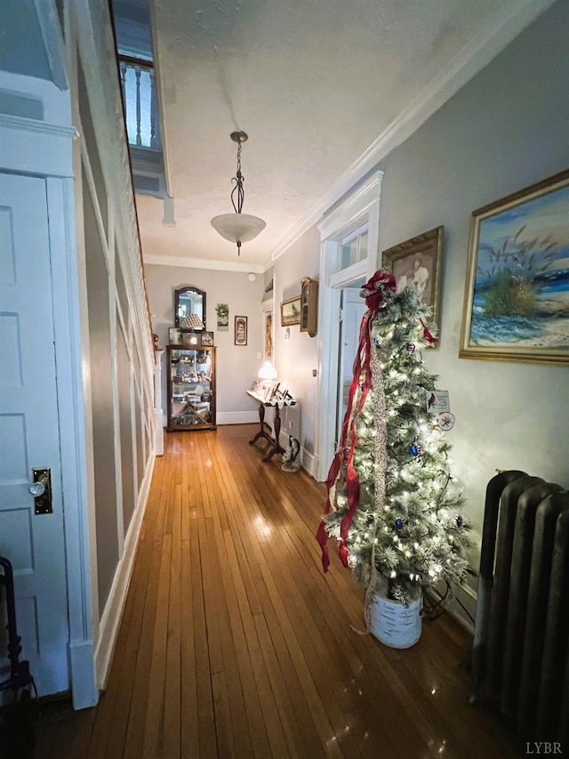 901 Bedford Ave, Altavista, VA 24517 - hallway featuring radiator, ornamental molding, hardwood / wood-style flooring, and baseboards