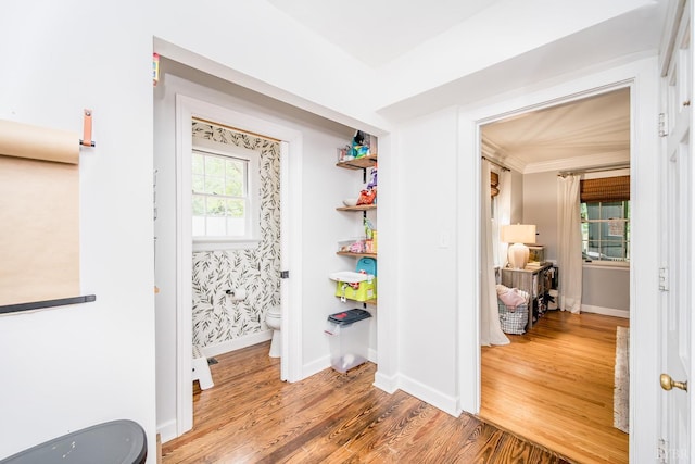 213 Kensington Ave, Lynchburg, VA 24503 - hall featuring wood finished floors and baseboards