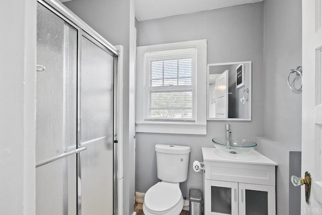 200 Jasper Wood Rd, Hurt, VA 24563 - bathroom with vanity, a shower stall, and toilet