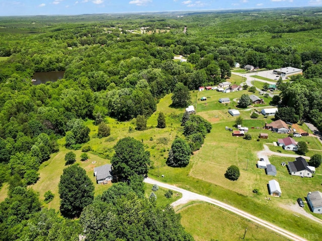200 Jasper Wood Rd, Hurt, VA 24563 - bird's eye view of a heavily wooded area